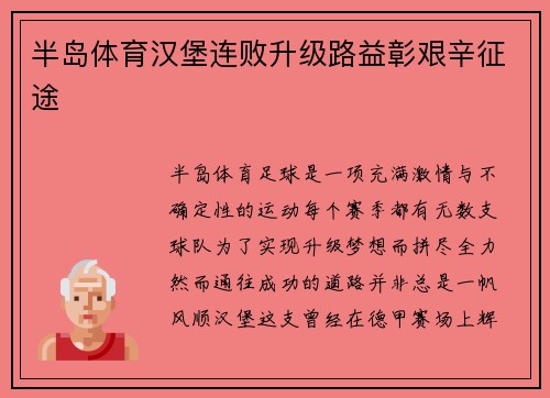 半岛体育汉堡连败升级路益彰艰辛征途