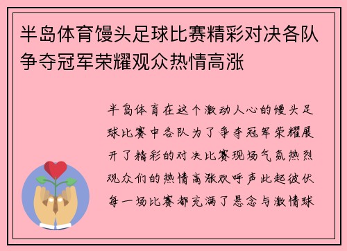 半岛体育馒头足球比赛精彩对决各队争夺冠军荣耀观众热情高涨