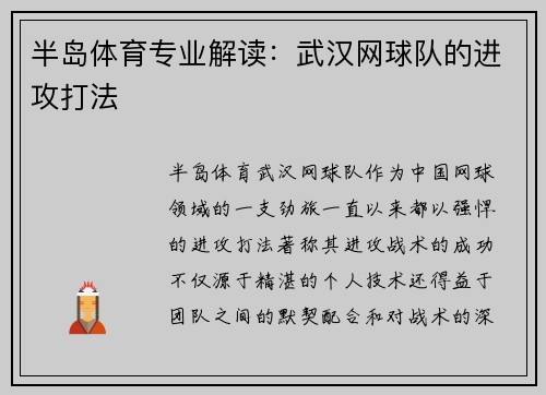 半岛体育专业解读：武汉网球队的进攻打法