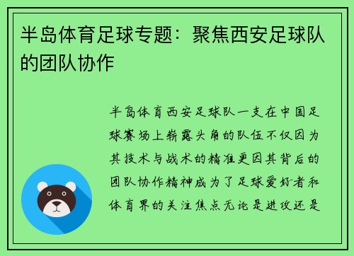 半岛体育足球专题：聚焦西安足球队的团队协作