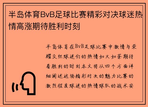 半岛体育BvB足球比赛精彩对决球迷热情高涨期待胜利时刻